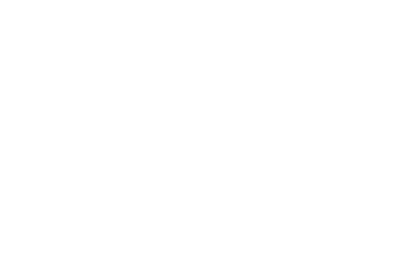 Tribeca Festival 2025 — best animated short